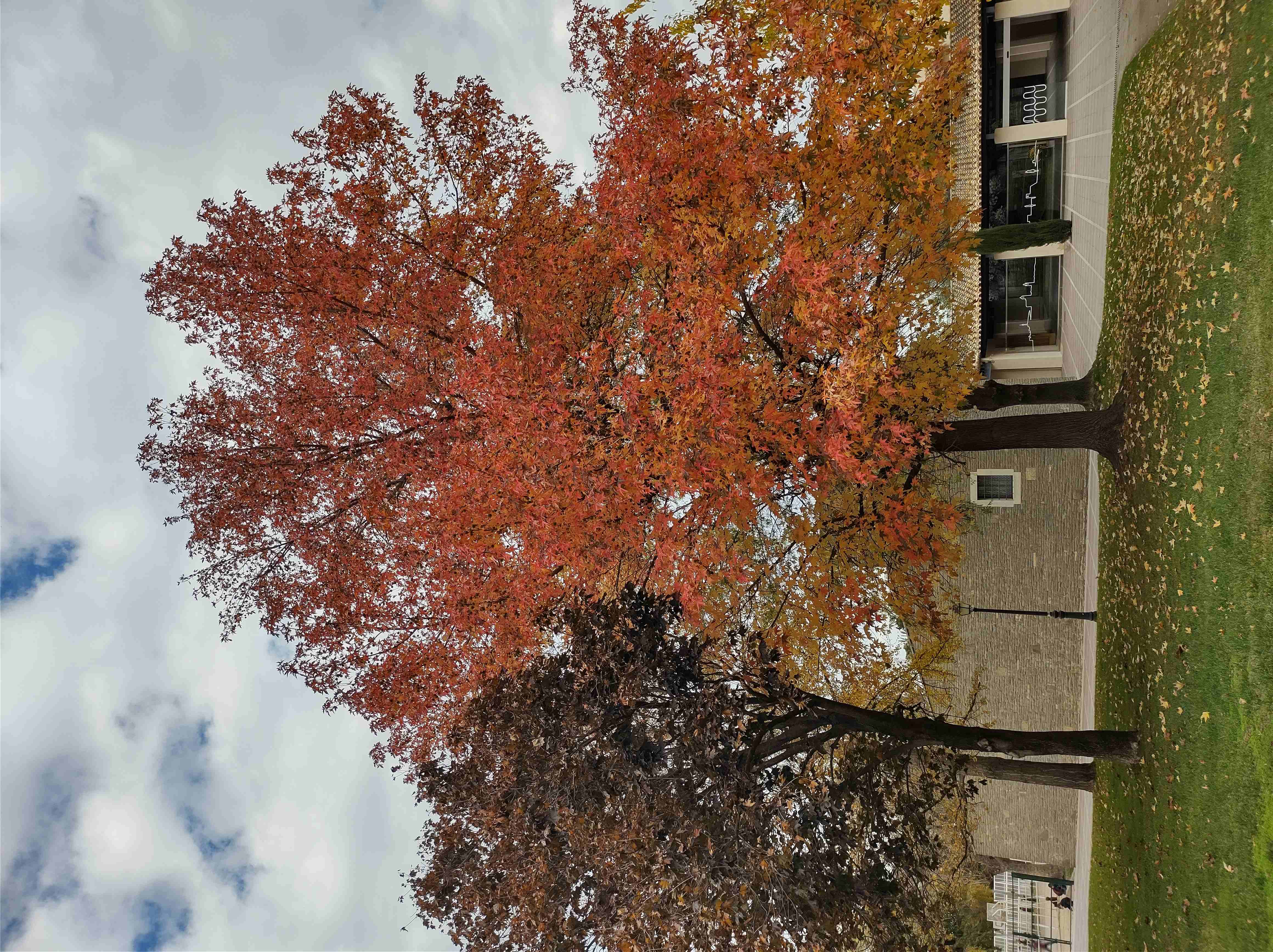 No s'ha trobat l'arxiu